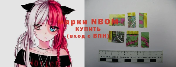 ешки Надым