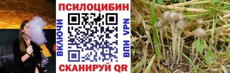 Купить  Мыски  Галлюциногенные грибы ЛСД 